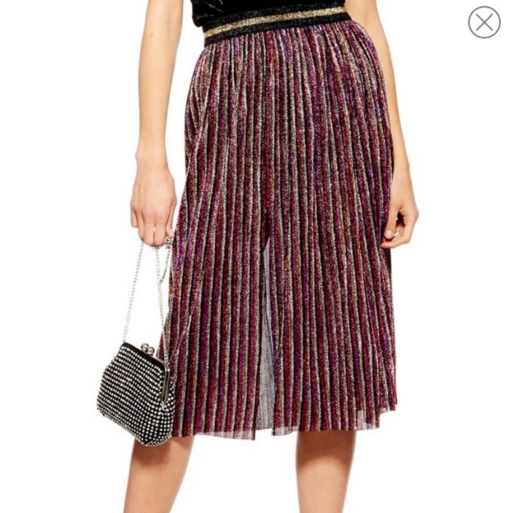 Multicolored Metallic Plisse Steiped Skirt